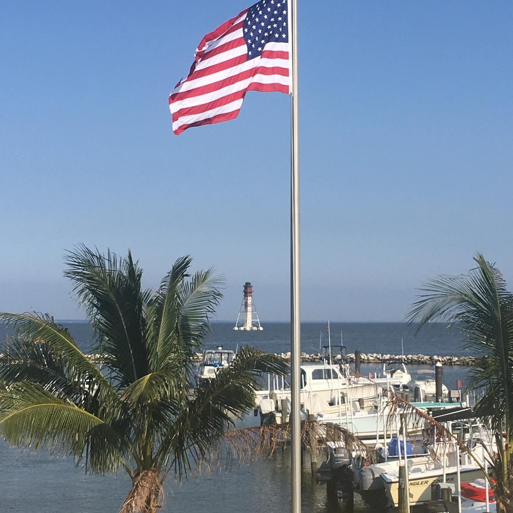 Meet your Posher, Terri